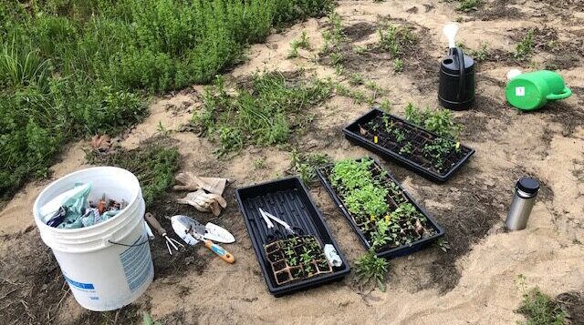 The Pollinator Garden Project