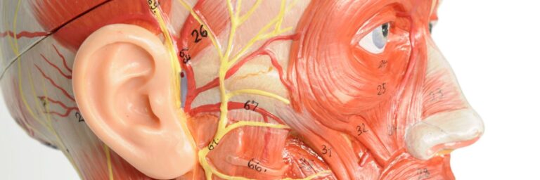 New Advanced Topic classes in science and art